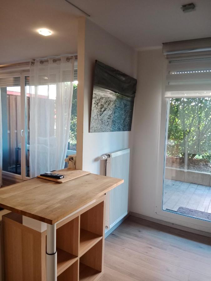 Tres Bel Appartement Rez De Jardin Appart De 53M2. Pfastatt Eksteriør bilde